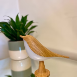 Llambe zog - Image 2