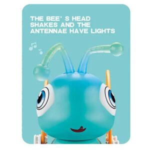 Bletë me muzikë dhe dritë - Image 5