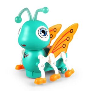 Bletë me muzikë dhe dritë - Image 2